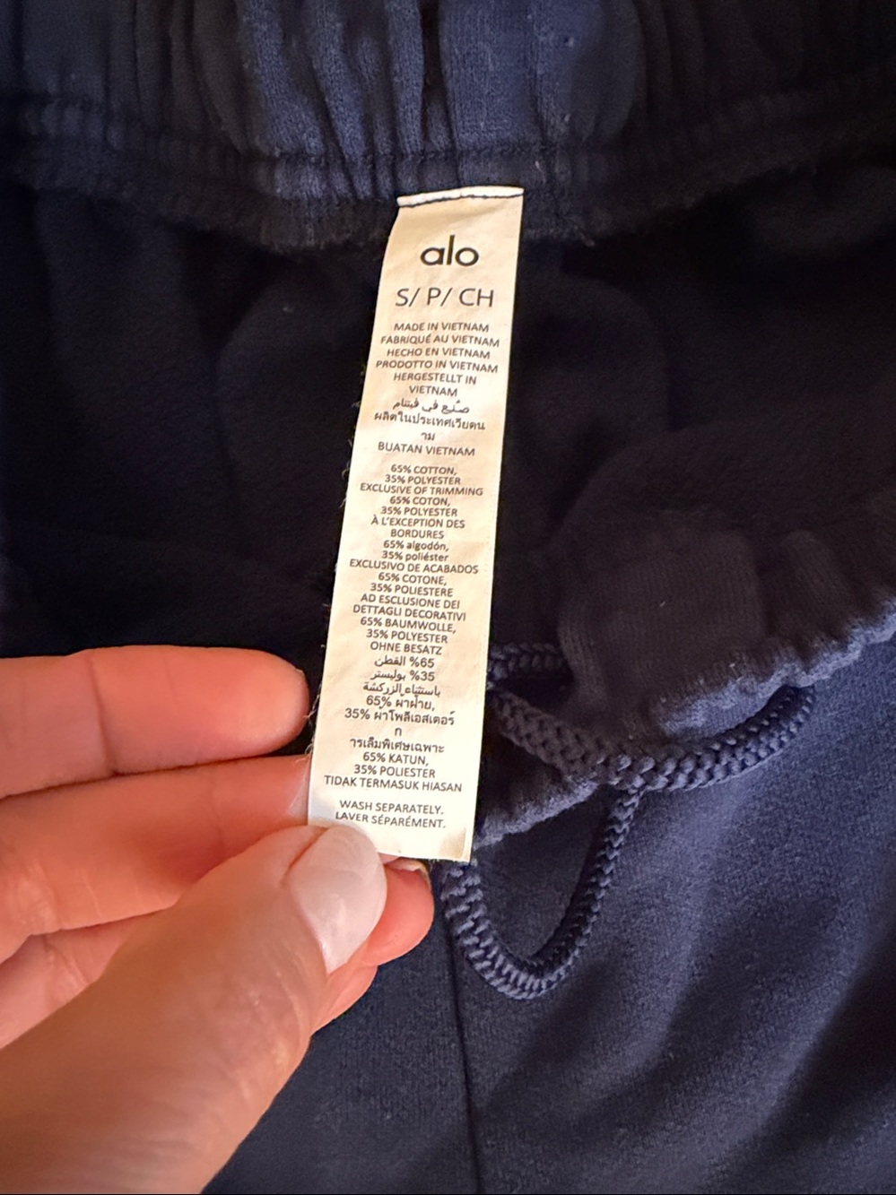 ALO Accolade Jogger Sweatpants - Picture 6 of 6